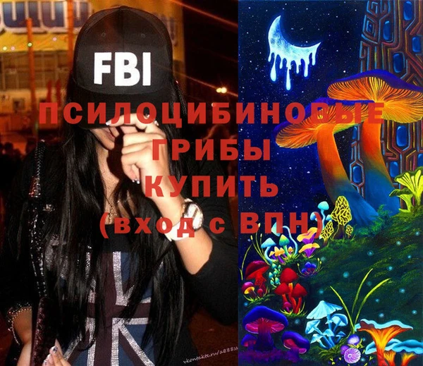 ешки Алексеевка